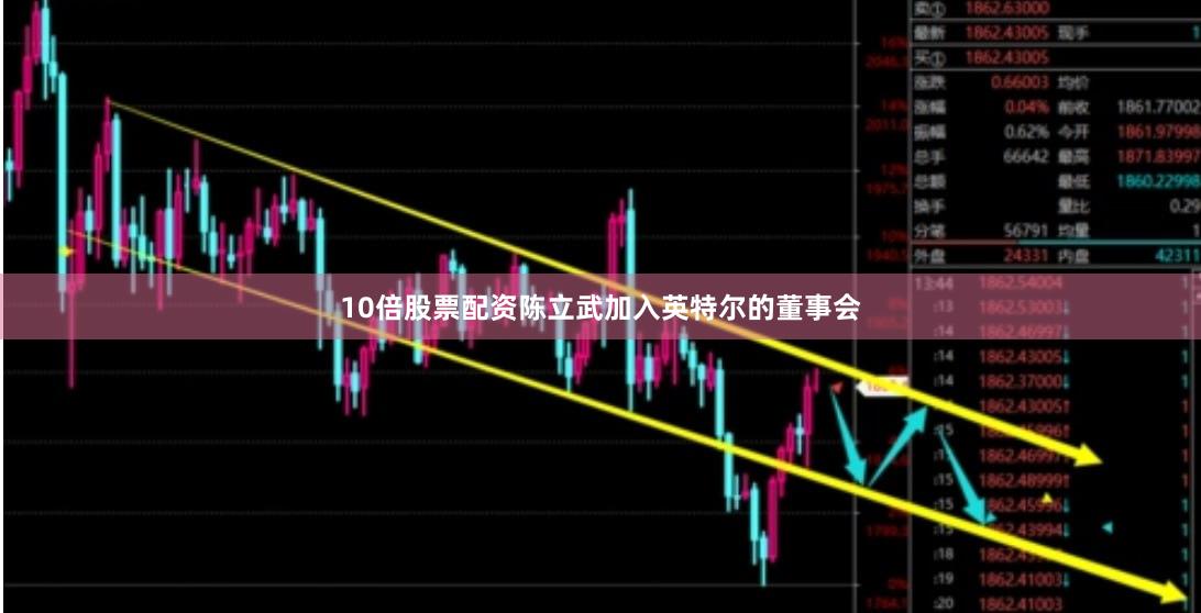10倍股票配资陈立武加入英特尔的董事会